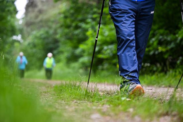 Nahaufnahme eines wandernden Fußes mit Trekkingstock auf einem schmalen Weg, im Hintergrund zwei weitere Personen.